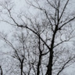 Meet your Posher, Teddy